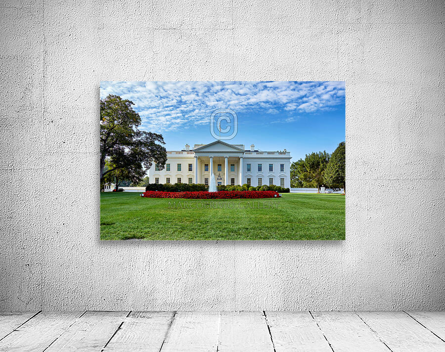 The White House. Washington D.C. Wall Preview