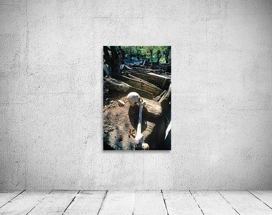 Pakistan. A Kalash cemetery in Bumburet valley Wall Preview