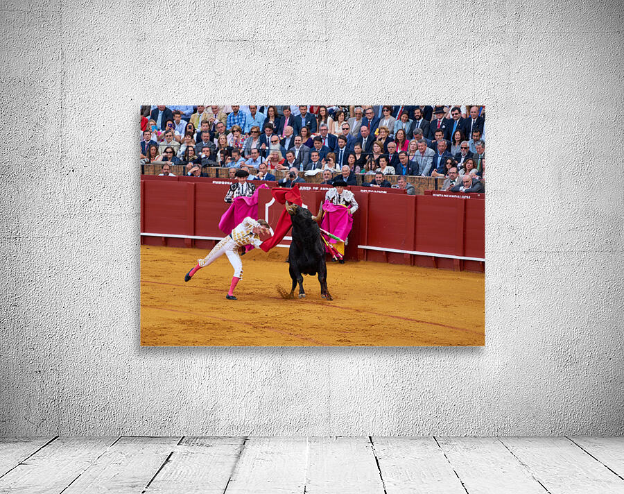 ANDALUSIA SPAIN. Bullfight in Seville Arena Wall Preview