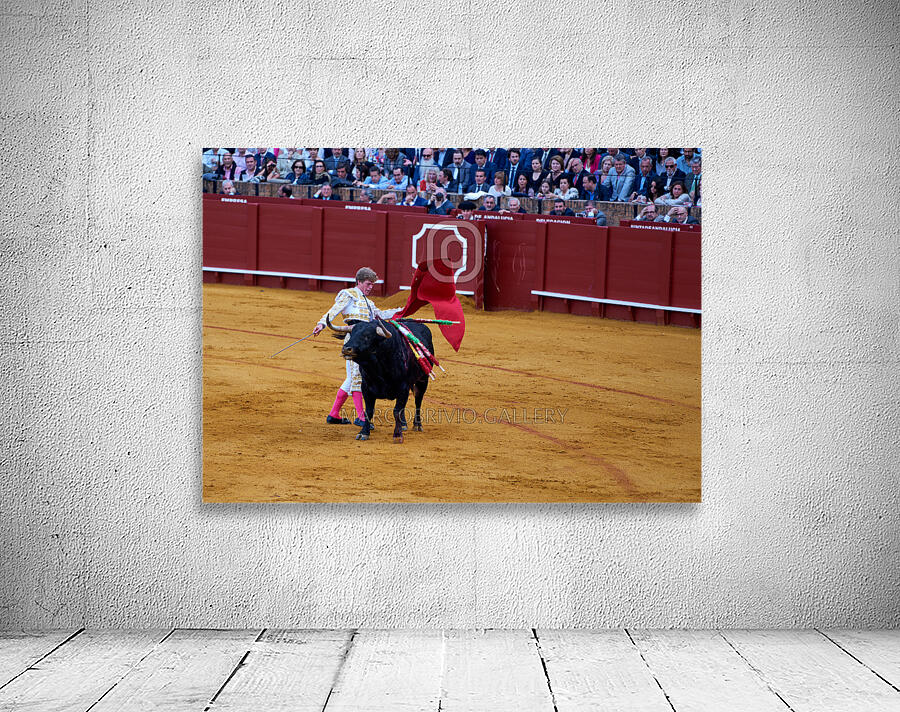 ANDALUSIA SPAIN. Bullfight in Seville Arena Wall Preview
