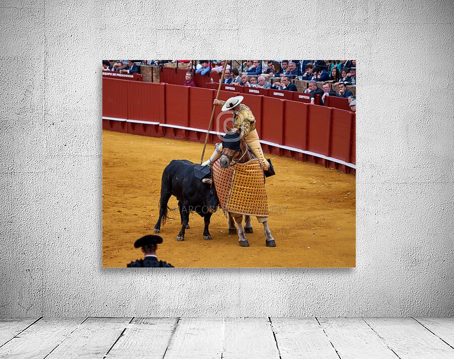 ANDALUSIA SPAIN. Bullfight in Seville Arena Wall Preview