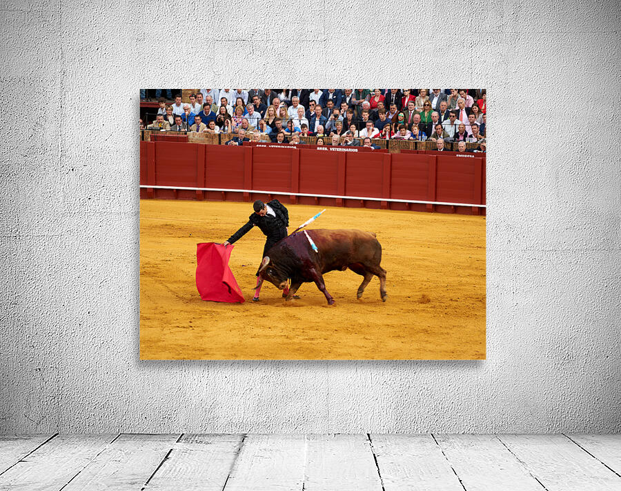 ANDALUSIA SPAIN. Bullfight in Seville Arena Wall Preview
