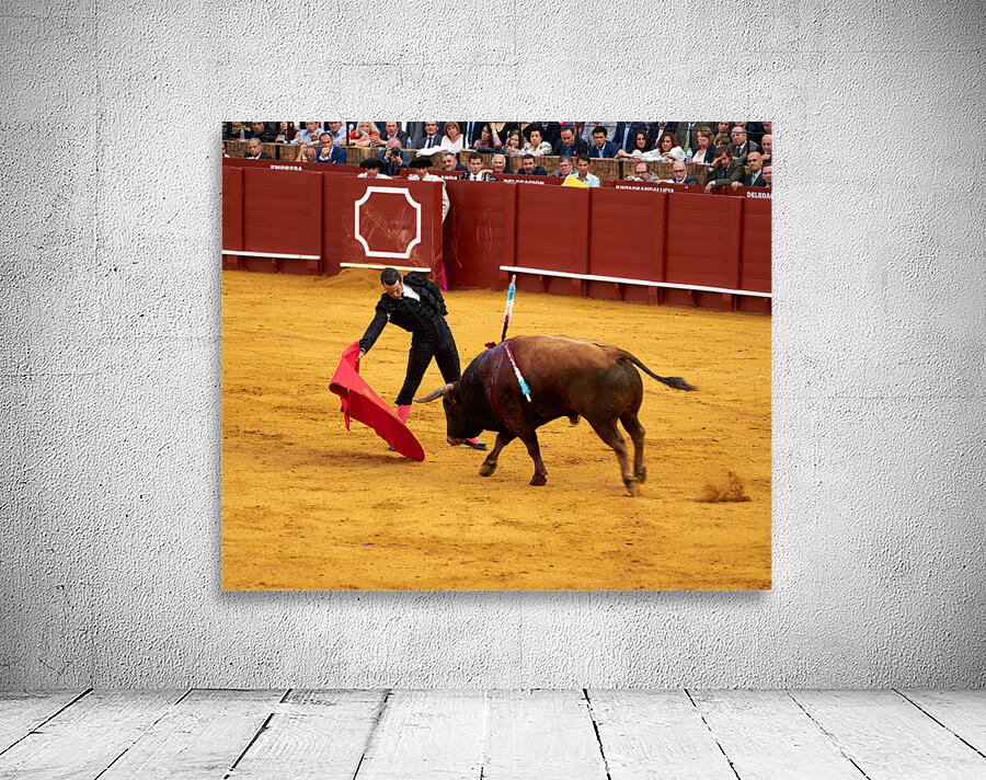ANDALUSIA SPAIN. Bullfight in Seville Arena Wall Preview
