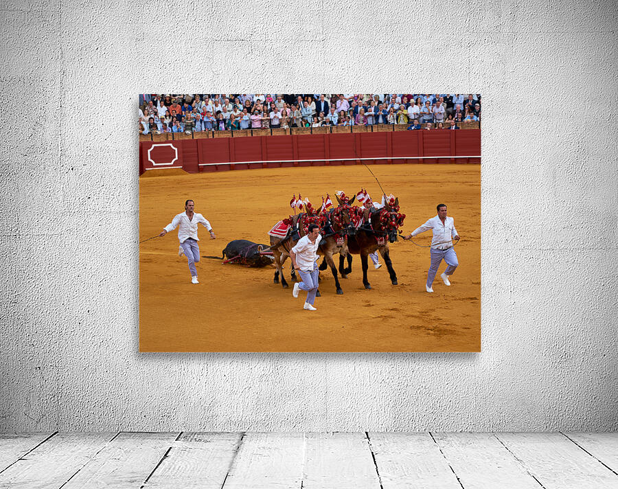 ANDALUSIA SPAIN. Bullfight in Seville Arena Wall Preview