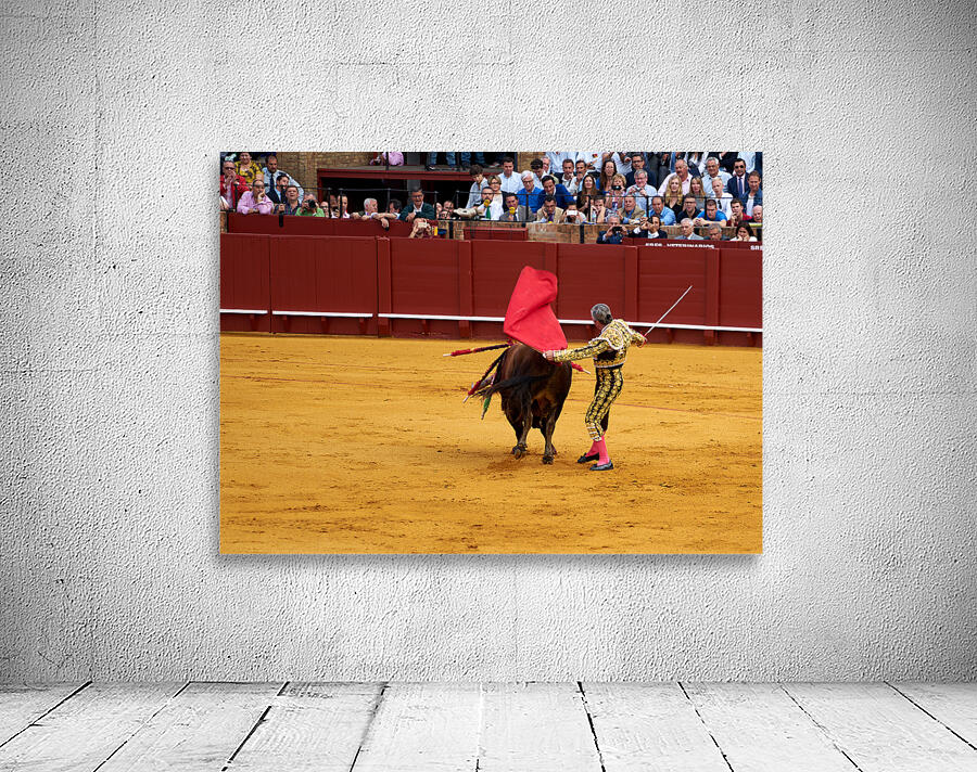 ANDALUSIA SPAIN. Bullfight in Seville Arena Wall Preview