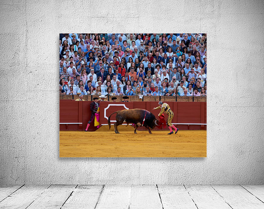 ANDALUSIA SPAIN. Bullfight in Seville Arena Wall Preview