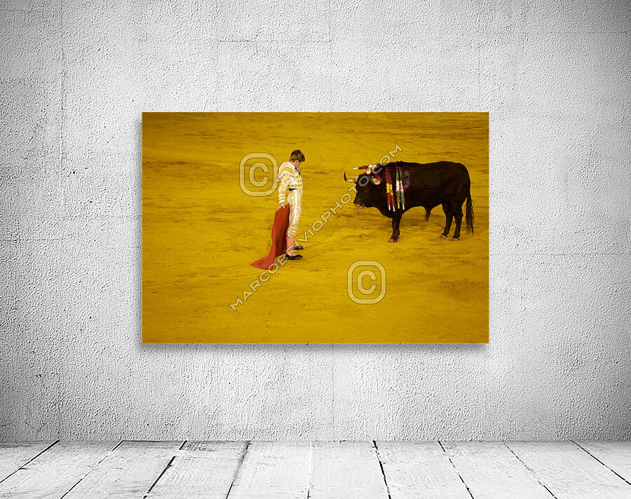 ANDALUSIA SPAIN. Bullfight in Seville Arena Wall Preview