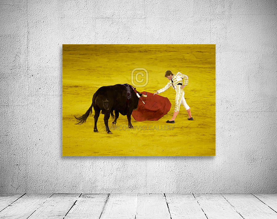 ANDALUSIA SPAIN. Bullfight in Seville Arena Wall Preview