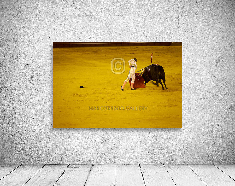 ANDALUSIA SPAIN. Bullfight in Seville Arena Wall Preview
