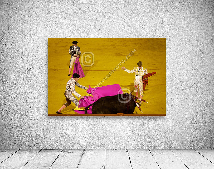 ANDALUSIA SPAIN. Bullfight in Seville Arena Wall Preview