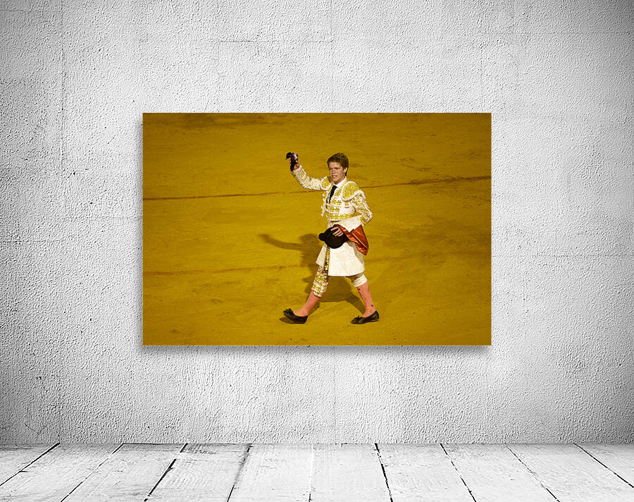 ANDALUSIA SPAIN. Bullfight in Seville Arena Wall Preview