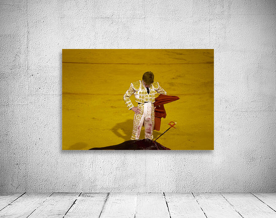 ANDALUSIA SPAIN. Bullfight in Seville Arena Wall Preview