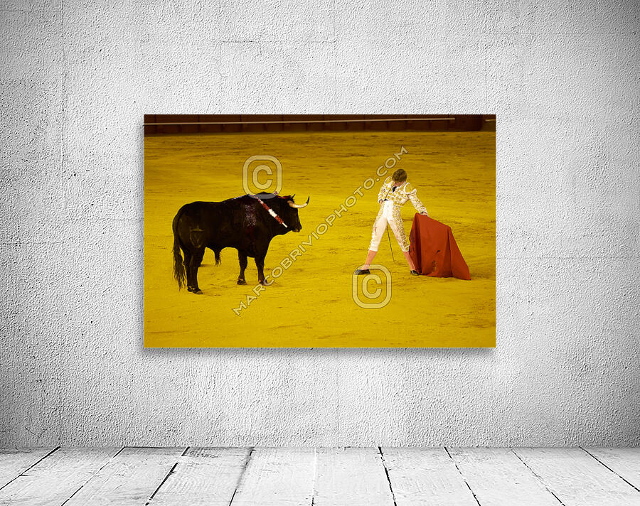 ANDALUSIA SPAIN. Bullfight in Seville Arena Wall Preview
