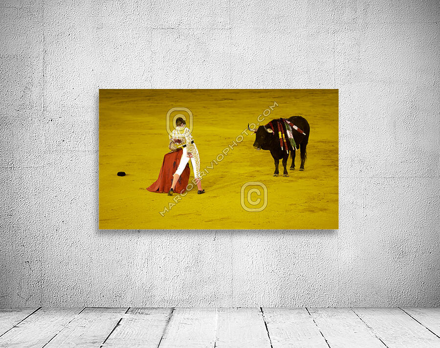 ANDALUSIA SPAIN. Bullfight in Seville Arena Wall Preview
