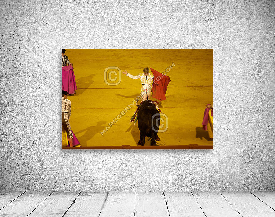 ANDALUSIA SPAIN. Bullfight in Seville Arena Wall Preview
