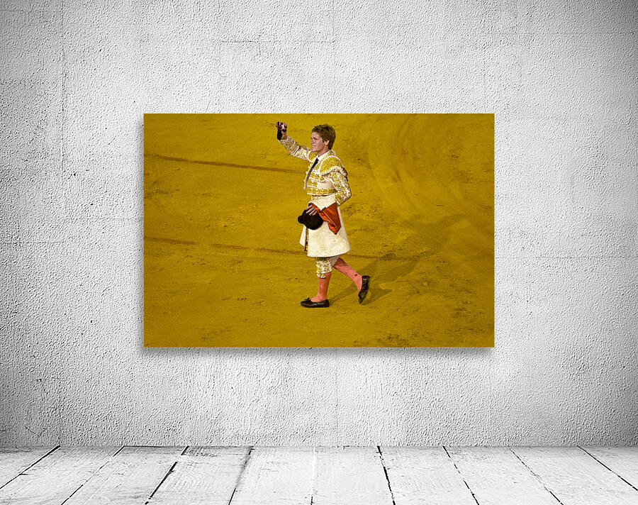 ANDALUSIA SPAIN. Bullfight in Seville Arena Wall Preview