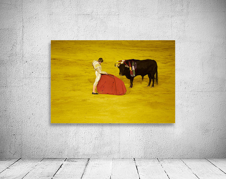 ANDALUSIA SPAIN. Bullfight in Seville Arena Wall Preview