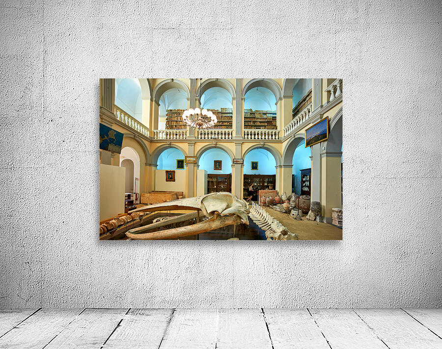 Salento. Apulia Puglia Italy. Gallipoli. Civic Museum Emanuele Barba Wall Preview