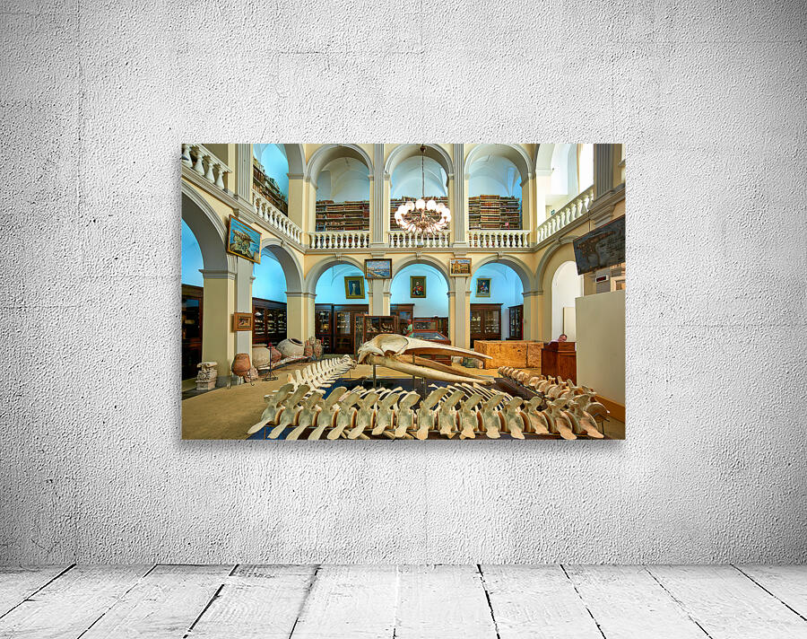 Salento. Apulia Puglia Italy. Gallipoli. Civic Museum Emanuele Barba Wall Preview