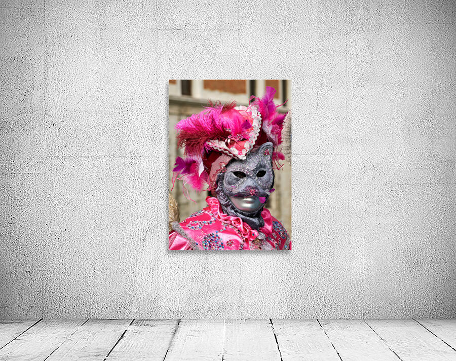 Venice Italy. The Carnival Wall Preview