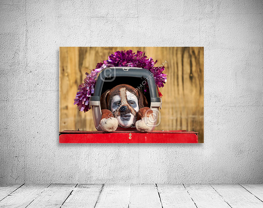 Venice Italy. The Carnival Wall Preview