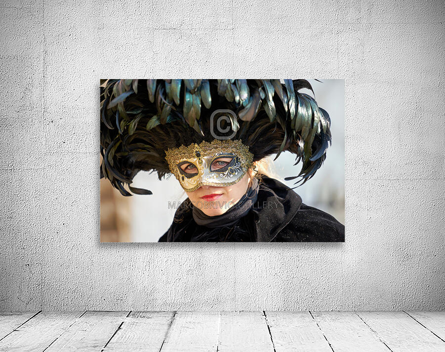 Venice Italy. The Carnival Wall Preview
