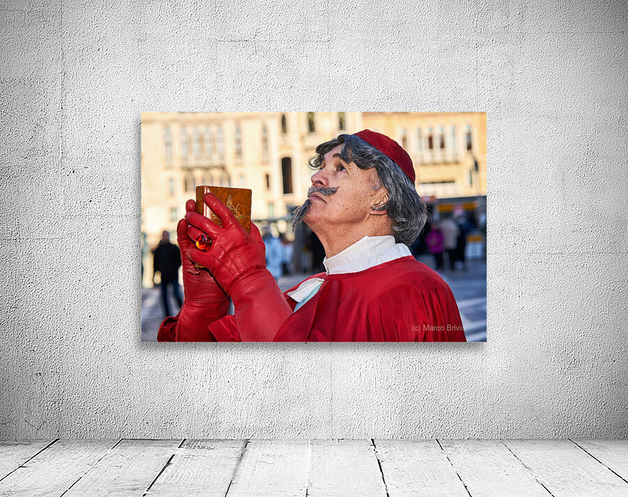 Venice Italy. The Carnival Wall Preview