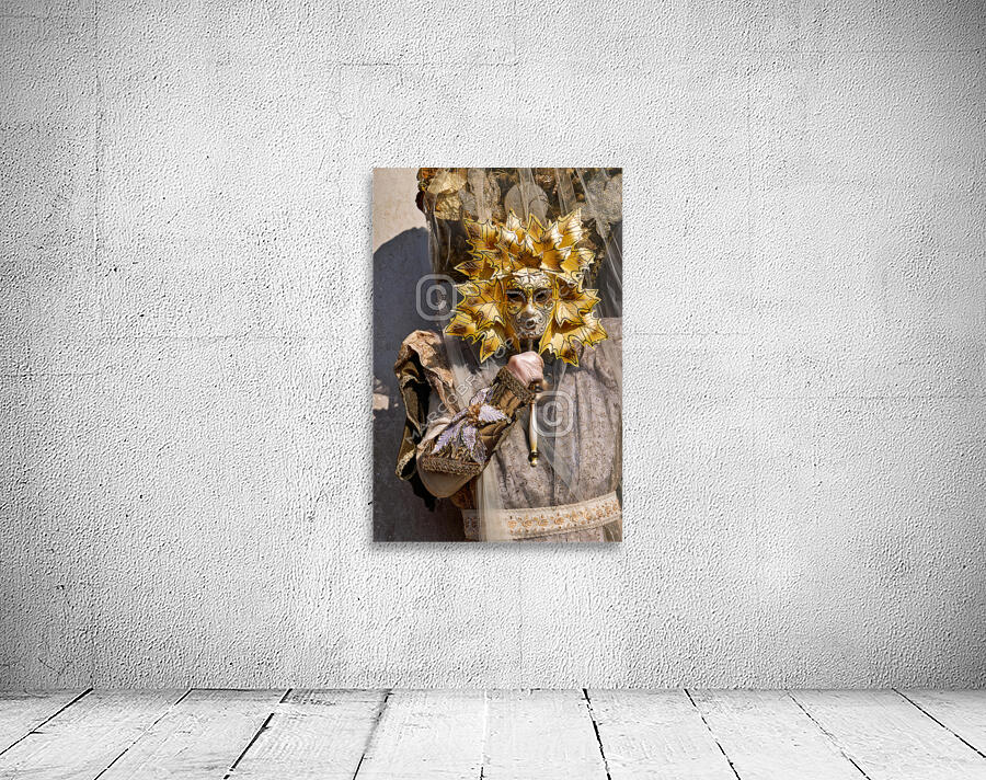 Venice Italy. The Carnival Wall Preview