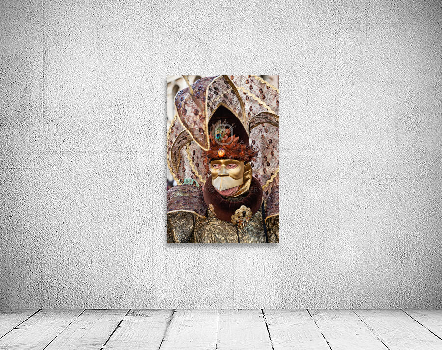 Venice Italy. The Carnival Wall Preview