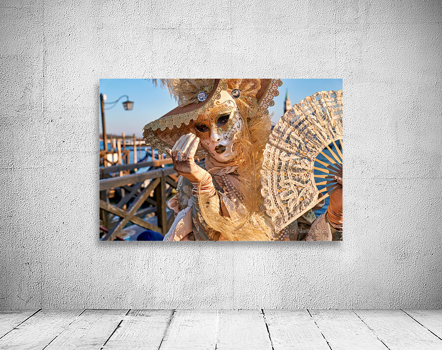 Venice Italy. The Carnival Wall Preview