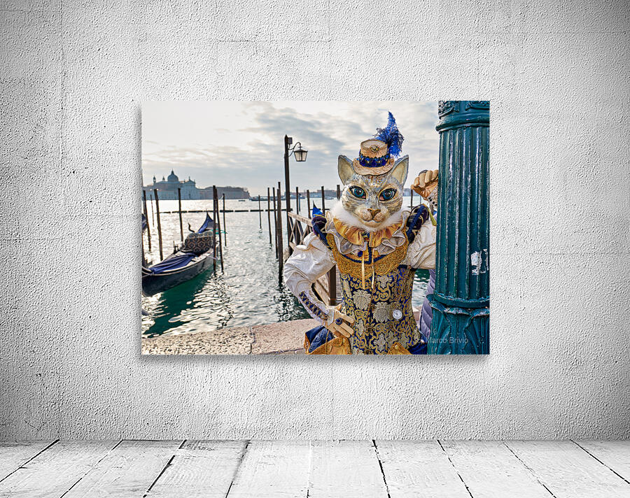 Venice Italy. The Carnival Wall Preview