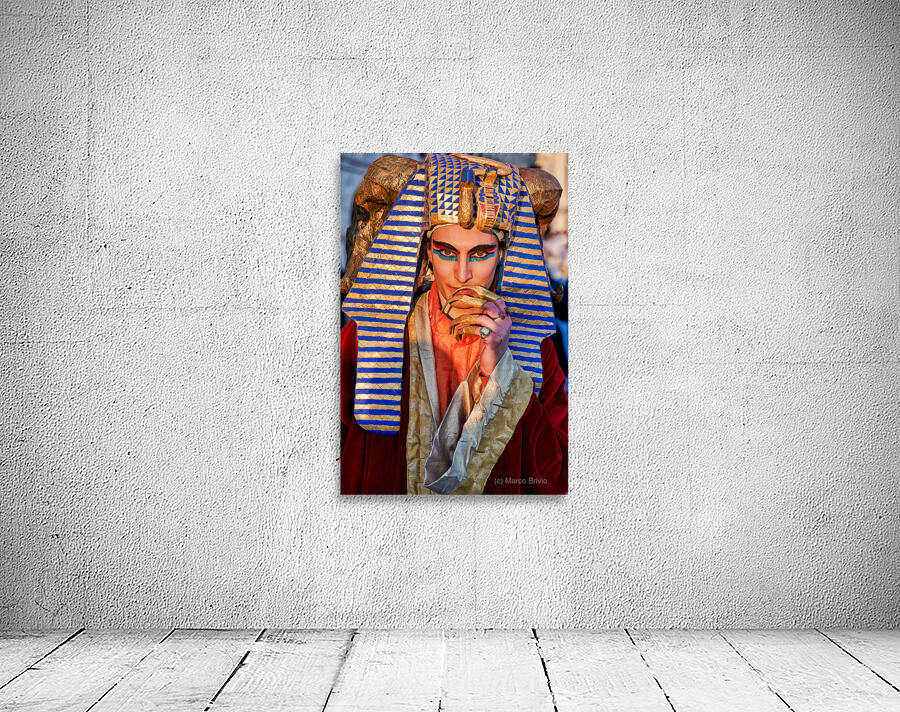 Venice Italy. The Carnival Wall Preview