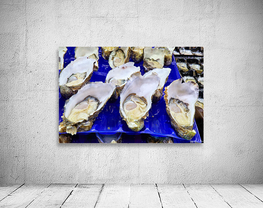 Freshly shucked oysters on blue plastic trays. Wall Preview