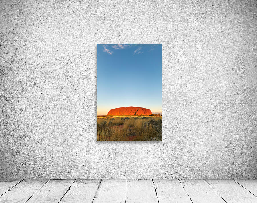 Uluru bathed in golden sunset light Australia. Wall Preview