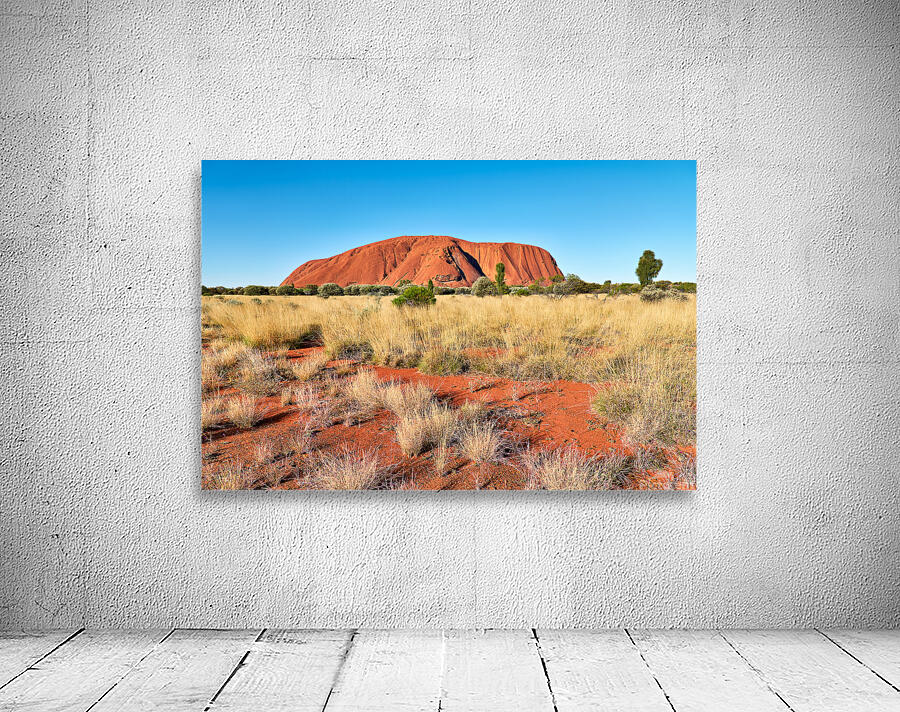 Uluru Australias iconic sandstone monolith under a clear blue Wall Preview