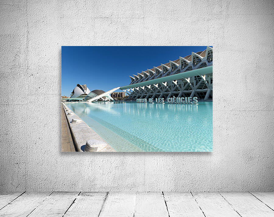 Visit to Museu de les Ciencies Principe Felipe in Valencia Spain Wall Preview