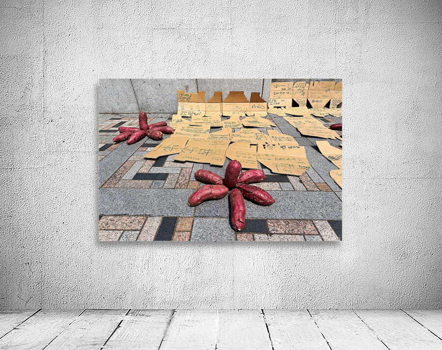 Red potatoes on display for sale in Tokyo market area Wall Preview