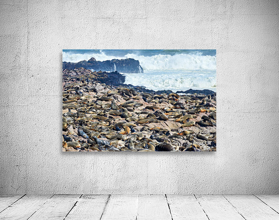 Cape fur seals resting on Skeleton Coast in Namibia near Cape Cr Wall Preview