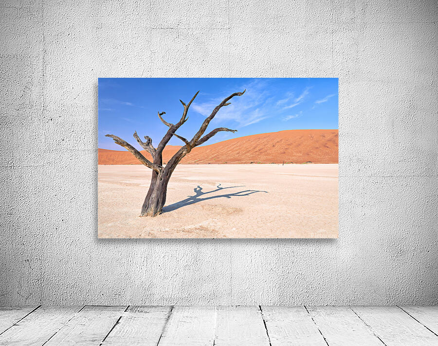 Dry camel thorn tree in Deadvlei clay pan of Namibia Wall Preview