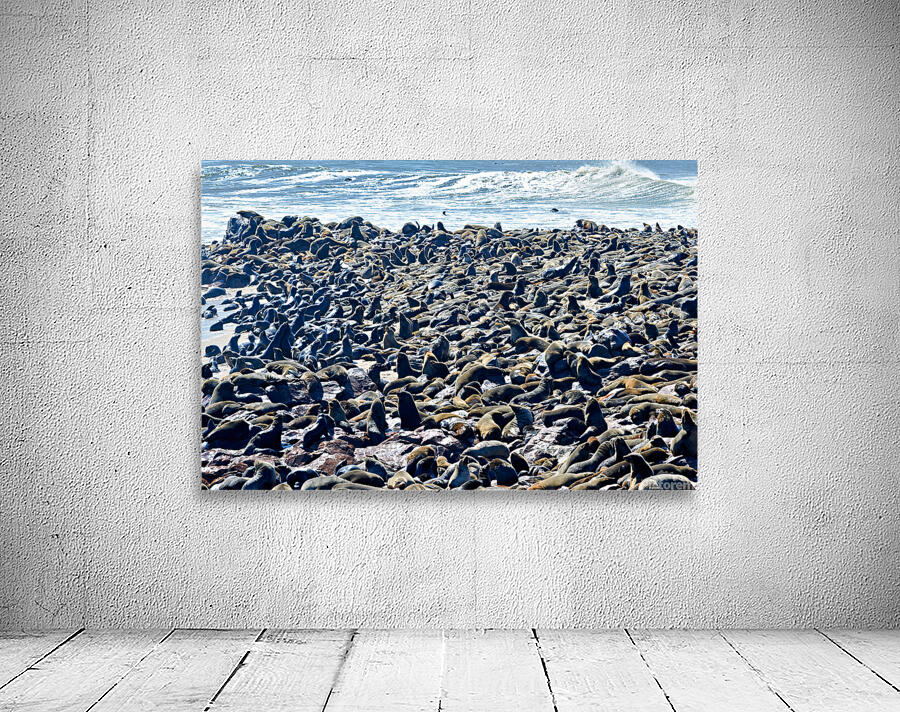 Cape fur seal colony on Skeleton Coast at Cape Cross in Namibia Wall Preview
