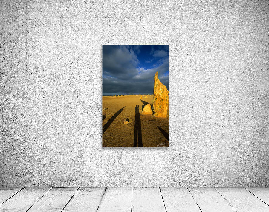 Photographers shadow falls on the Pinnacles desert at sunset. Wall Preview