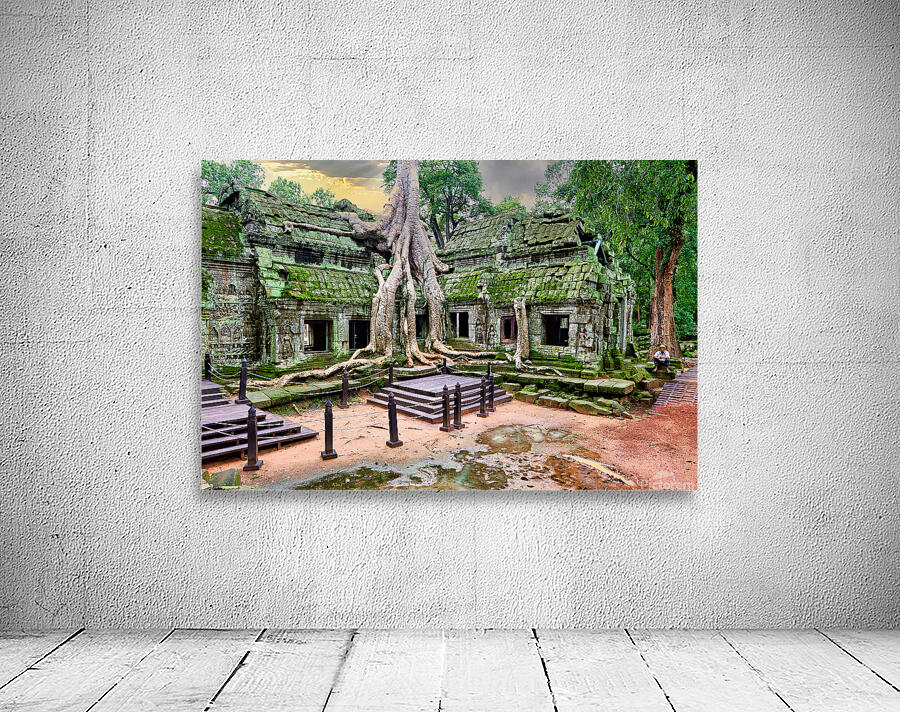 Ancient temple ruins overgrown by massive tree roots and moss. Wall Preview