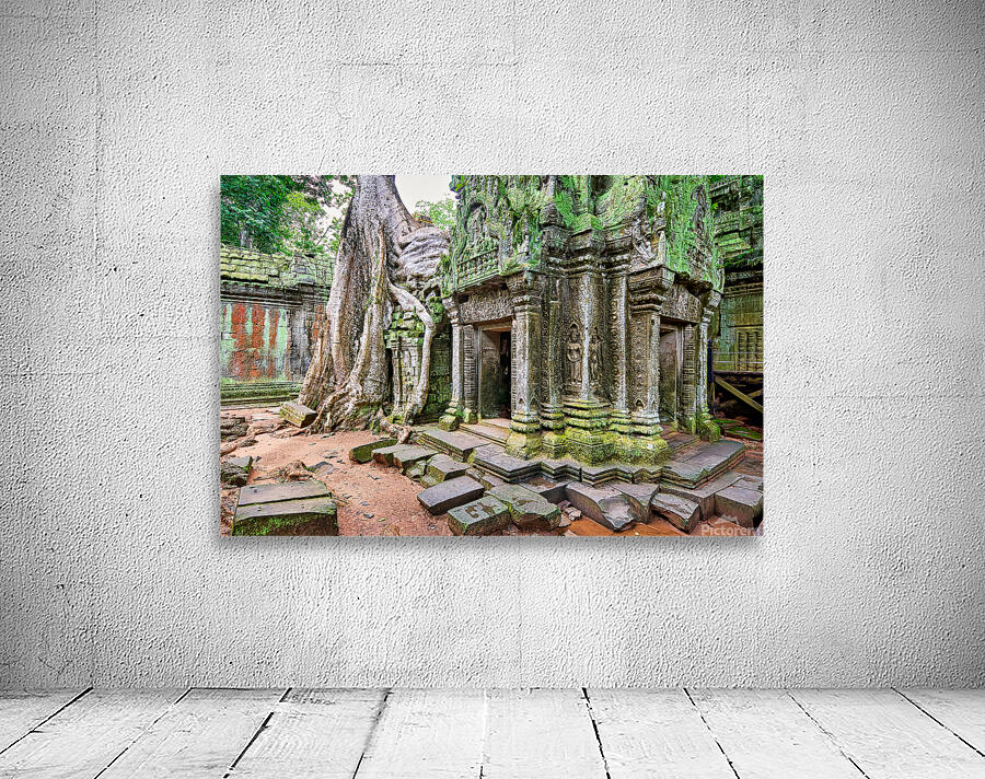 Ancient temple ruins overgrown by massive tree roots and moss. Wall Preview