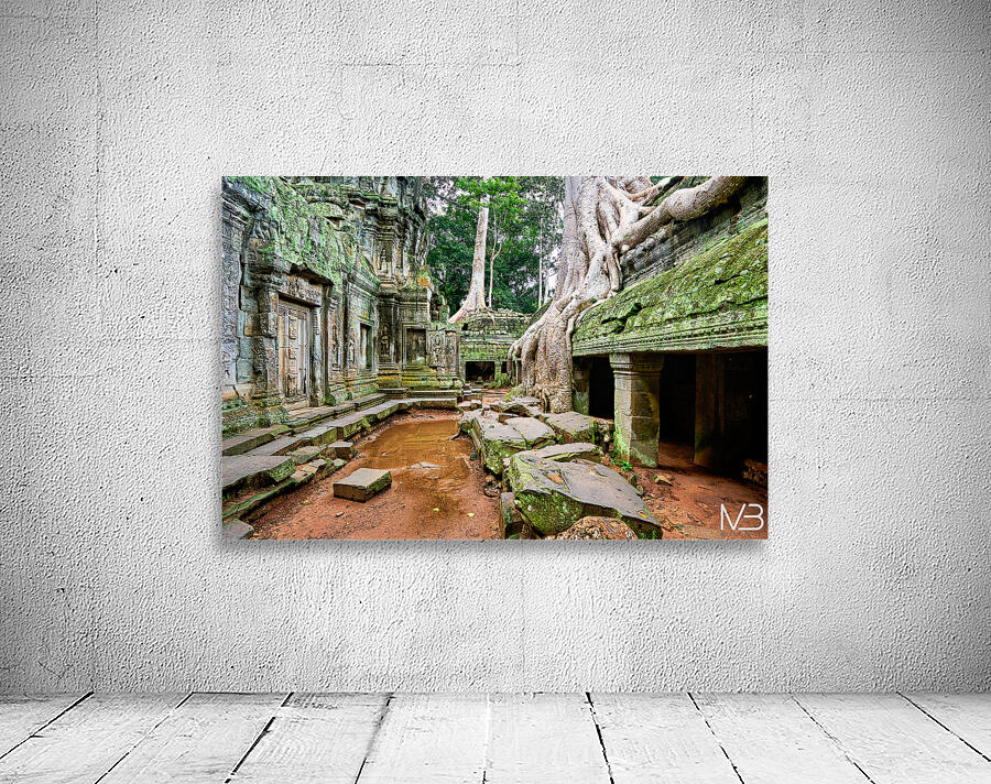 Ancient temple ruins consumed by giant tree roots and jungle. Wall Preview