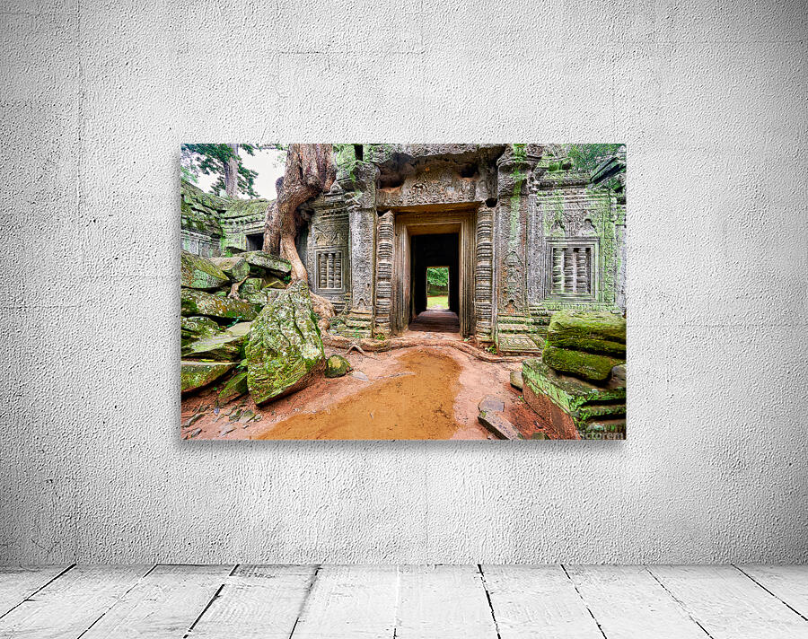 Ancient temple ruins overgrown by trees and moss. Wall Preview