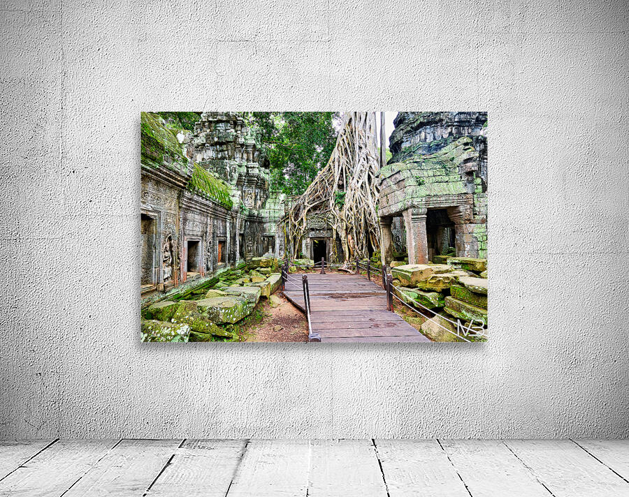 Massive tree roots engulf ancient temple ruins with moss. Wall Preview