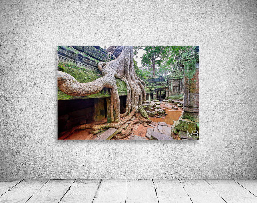 Massive tree roots engulfing ancient moss covered temple ruins. Wall Preview