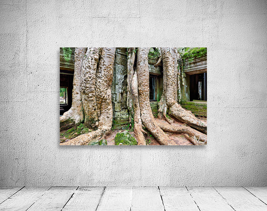 Giant tree roots engulf ancient temple ruins. Wall Preview