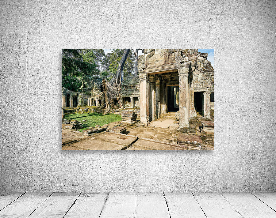 Ancient temple ruins overgrown by massive tree roots. Wall Preview
