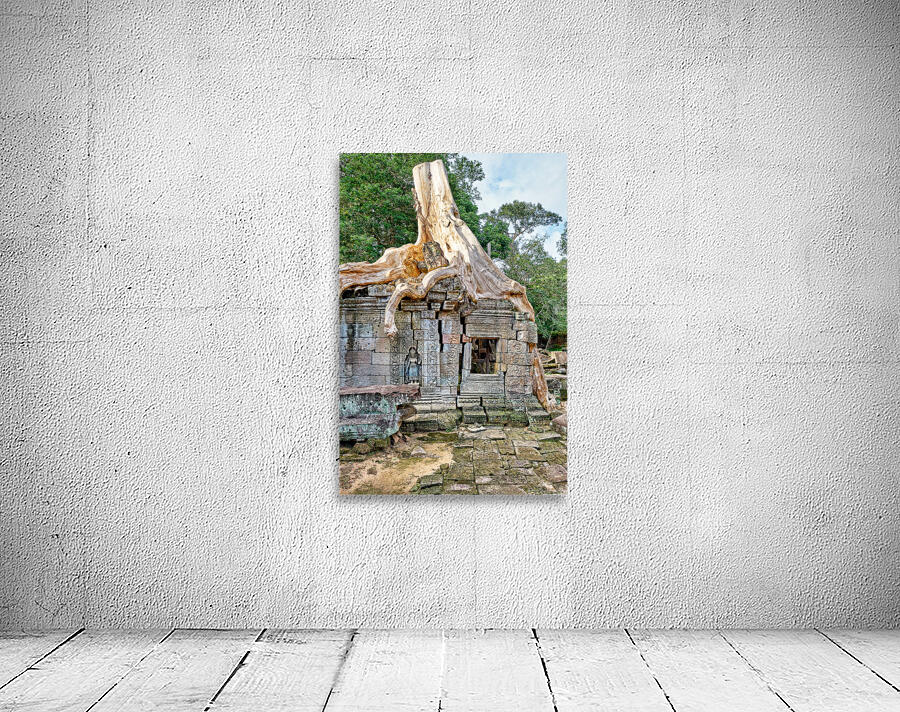 Tree roots engulf ancient temple ruins. Wall Preview